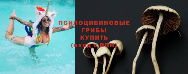 мдма Приозерск