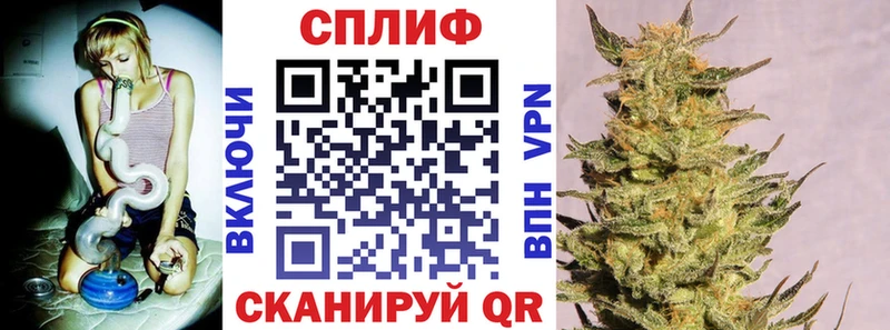 как найти наркотики  Каменногорск  Марихуана конопля 